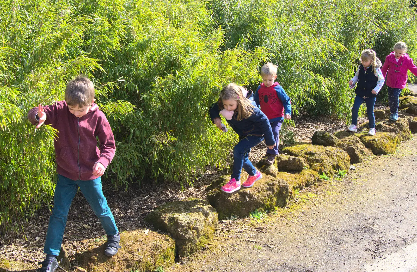 The children walk along a line of stones, from Another Trip to Banham Zoo, Banham, Norfolk - 25th March 2016