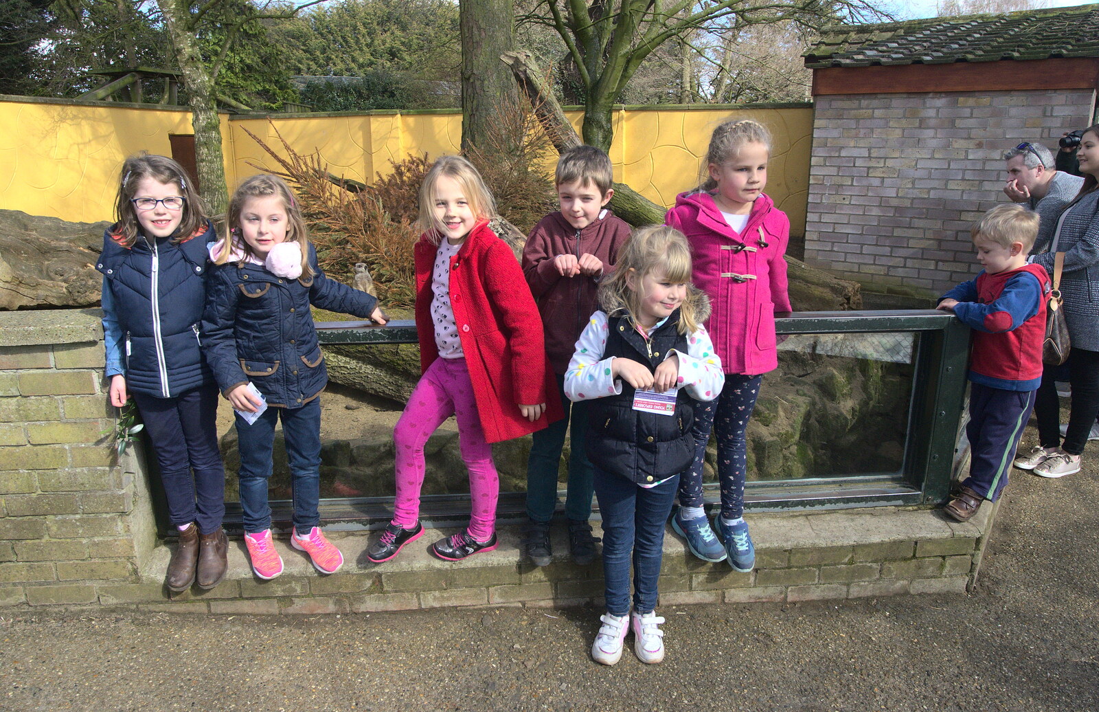 Everyone pretends to be a meerkat from Another Trip to Banham Zoo, Banham, Norfolk - 25th March 2016