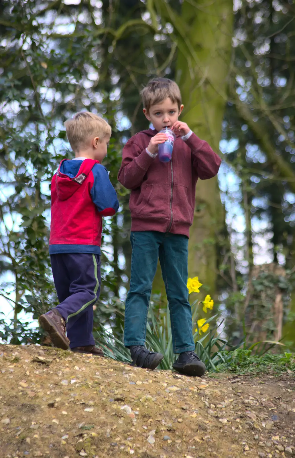 Harry and Fred, from Another Trip to Banham Zoo, Banham, Norfolk - 25th March 2016