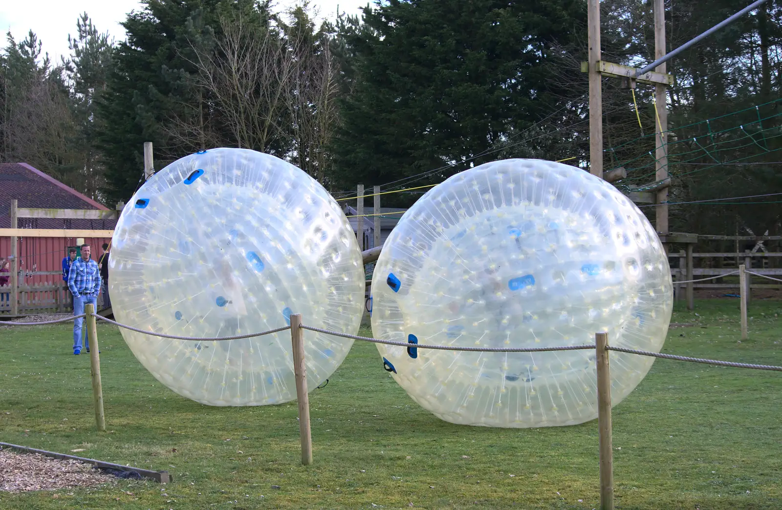 A couple of people roll around in zorb balls, from Another Trip to Banham Zoo, Banham, Norfolk - 25th March 2016