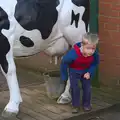 Harry looks shifty under a cow, Another Trip to Banham Zoo, Banham, Norfolk - 25th March 2016