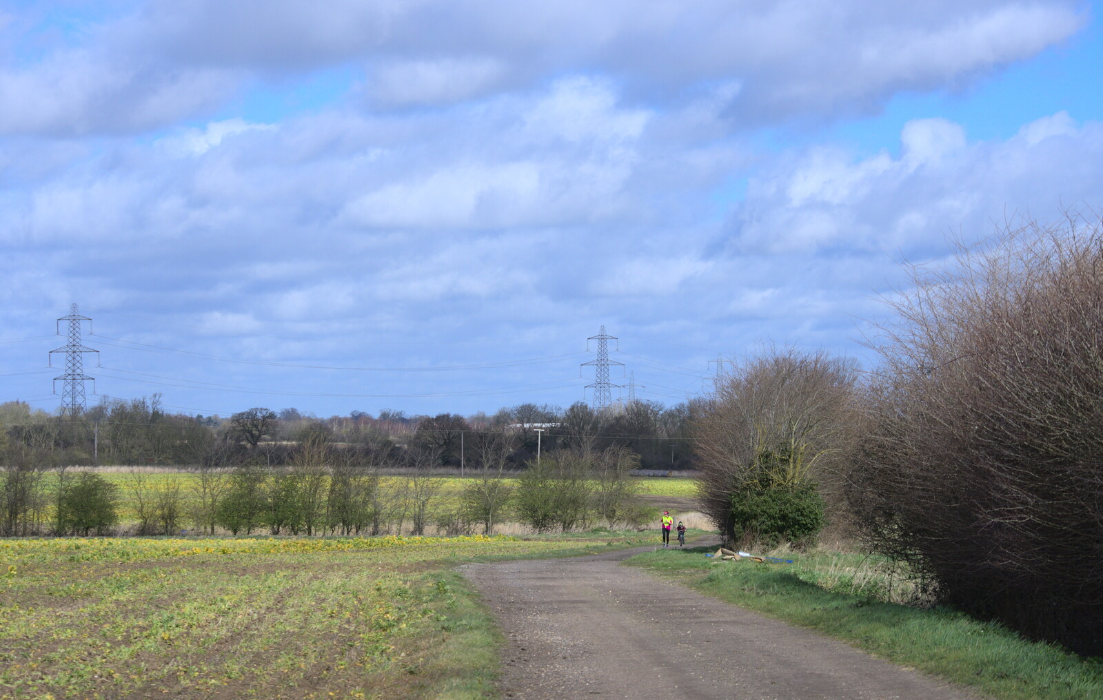 Isobel and Fred in the distance from Harry's Birthday, Brome, Suffolk - 28th March 2016