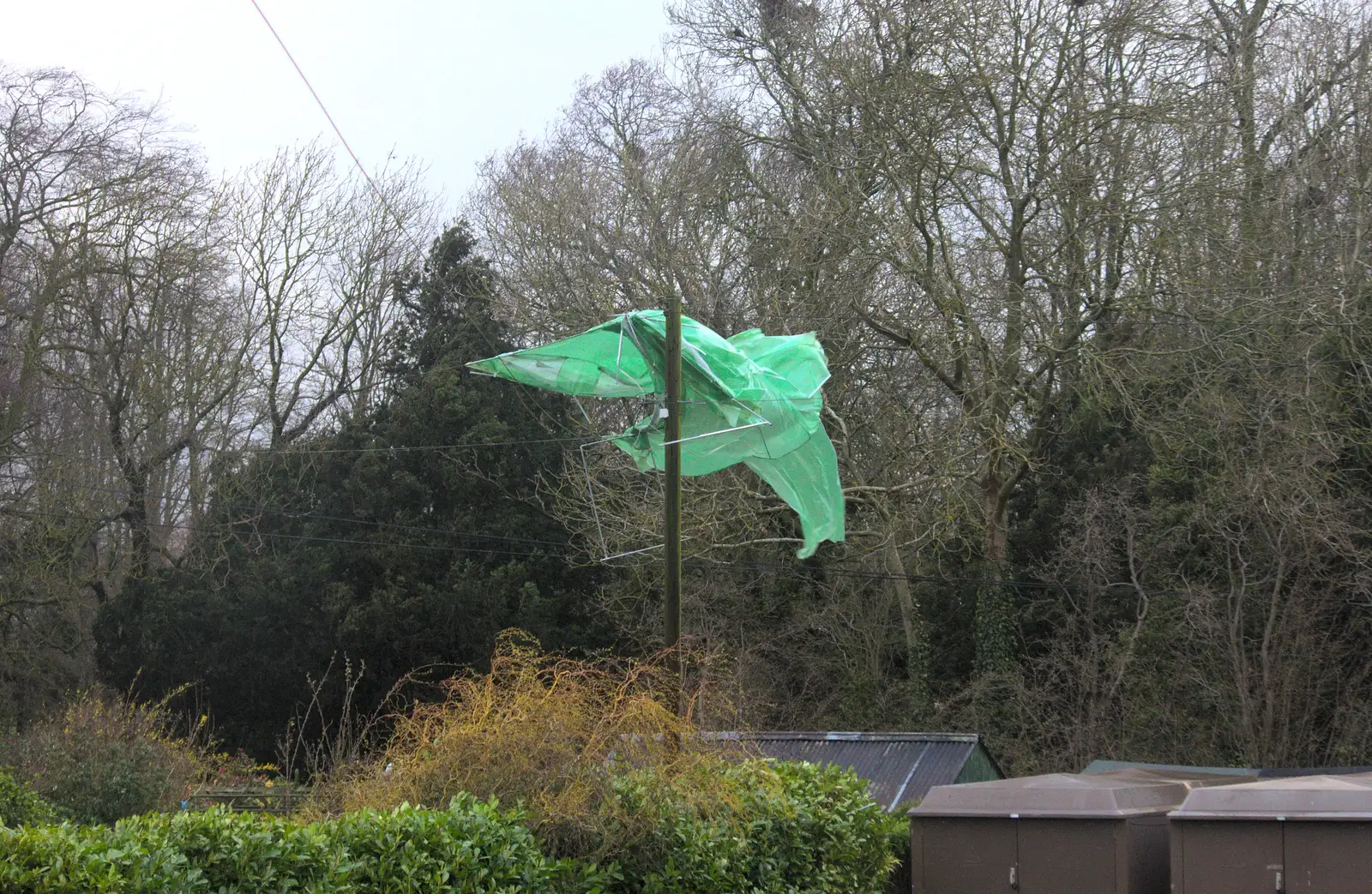 Storm Katie traps a plastic greenhouse in the wires, from Harry's Birthday, Brome, Suffolk - 28th March 2016