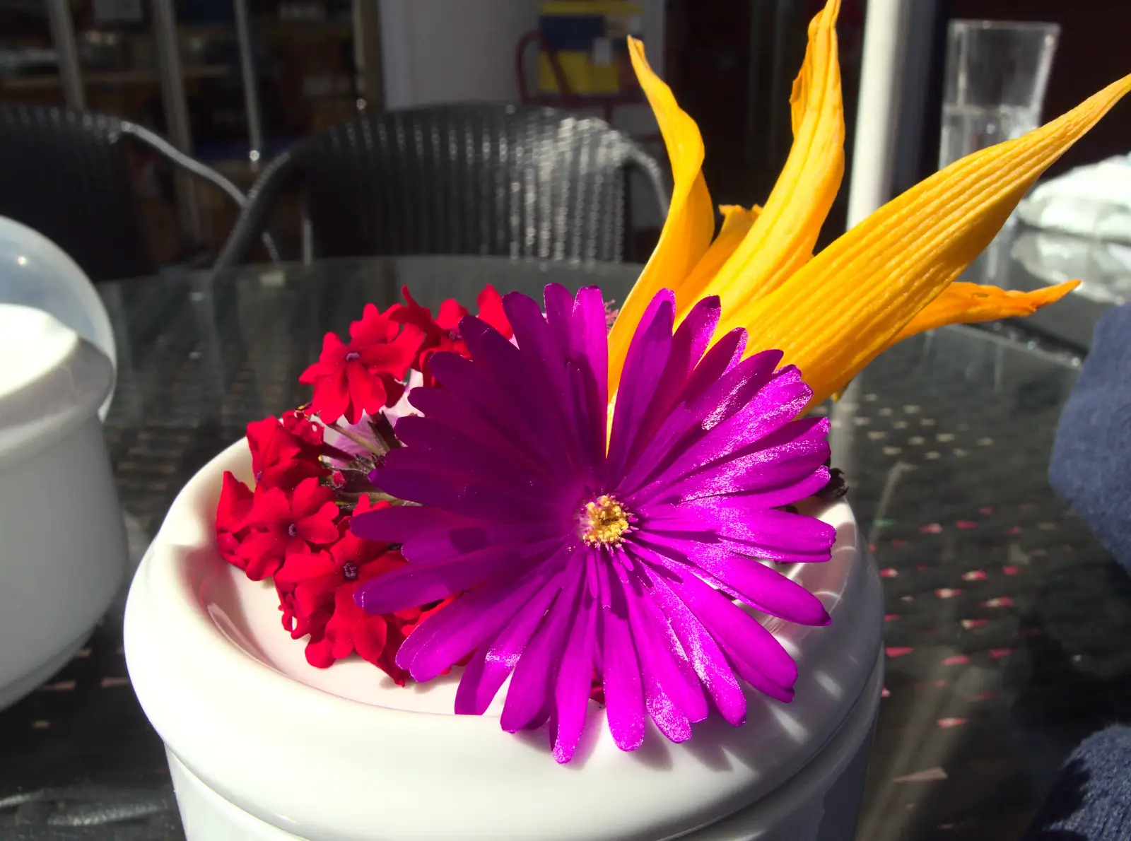 Bright spring flowers, from A Trip to Albufeira: The Hotel Paraiso, Portugal - 3rd April 2016