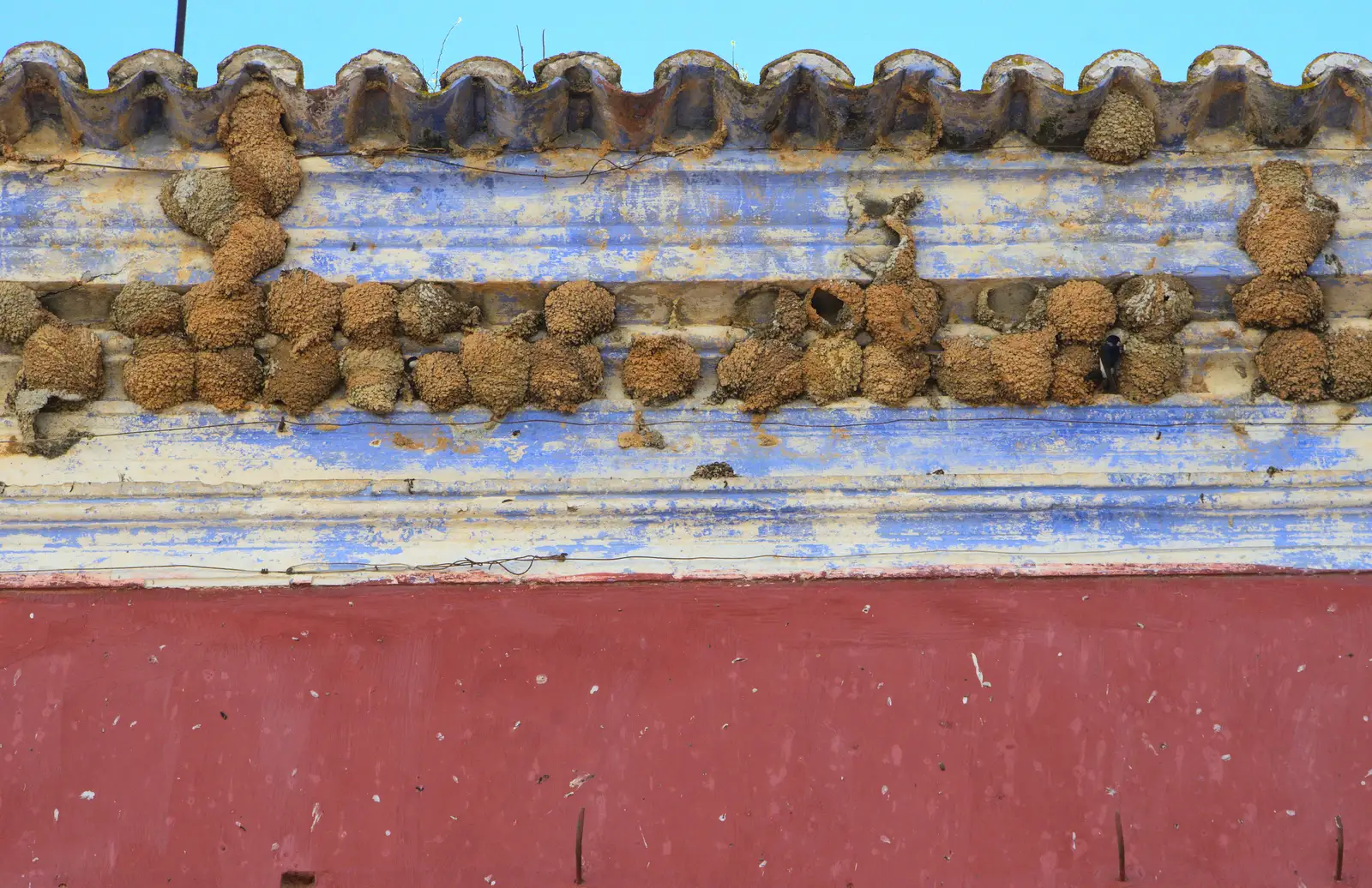 One or two House Martin nests, from Gary and Vanessa's Barbeque, Alcantarilha, Algarve, Portugal - 7th April 2016