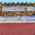 One or two House Martin nests, Gary and Vanessa's Barbeque, Alcantarilha, Algarve, Portugal - 7th April 2016