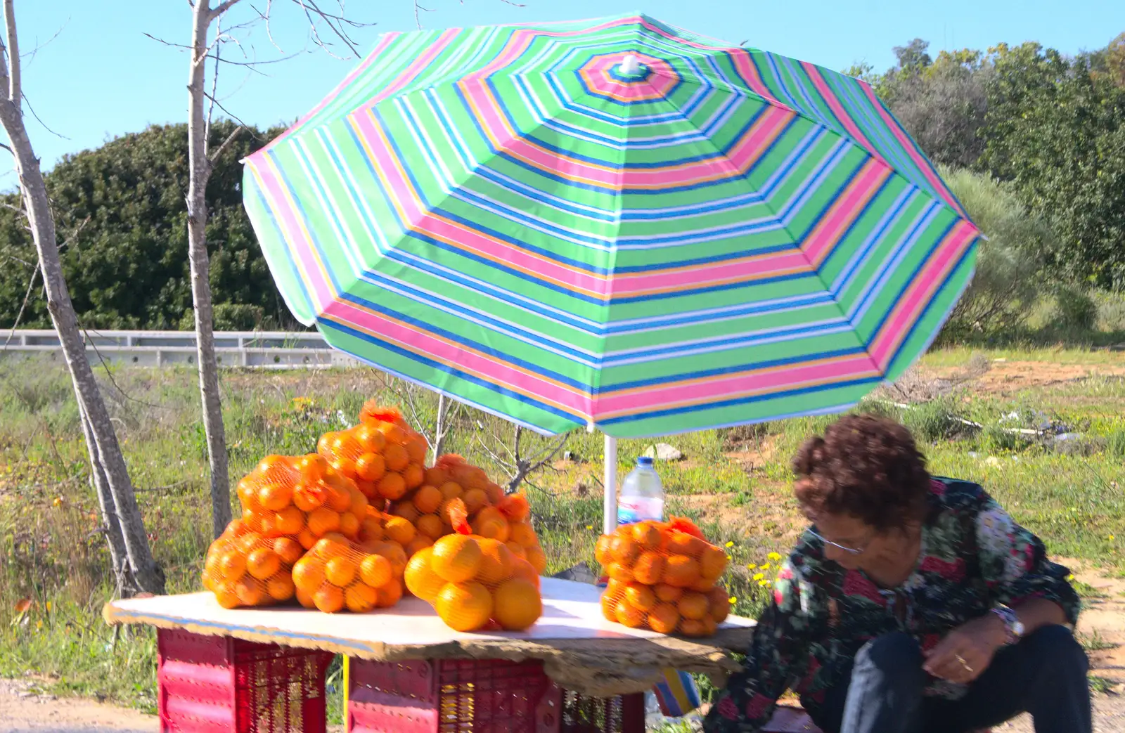 A roadside orange seller, from Gary and Vanessa's Barbeque, Alcantarilha, Algarve, Portugal - 7th April 2016