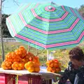 A roadside orange seller, Gary and Vanessa's Barbeque, Alcantarilha, Algarve, Portugal - 7th April 2016