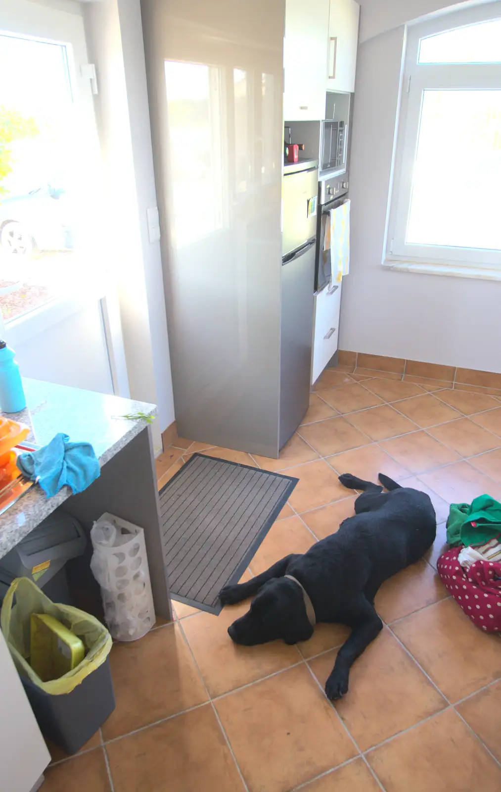 The dog has a lie down on the cool floor, from Gary and Vanessa's Barbeque, Alcantarilha, Algarve, Portugal - 7th April 2016