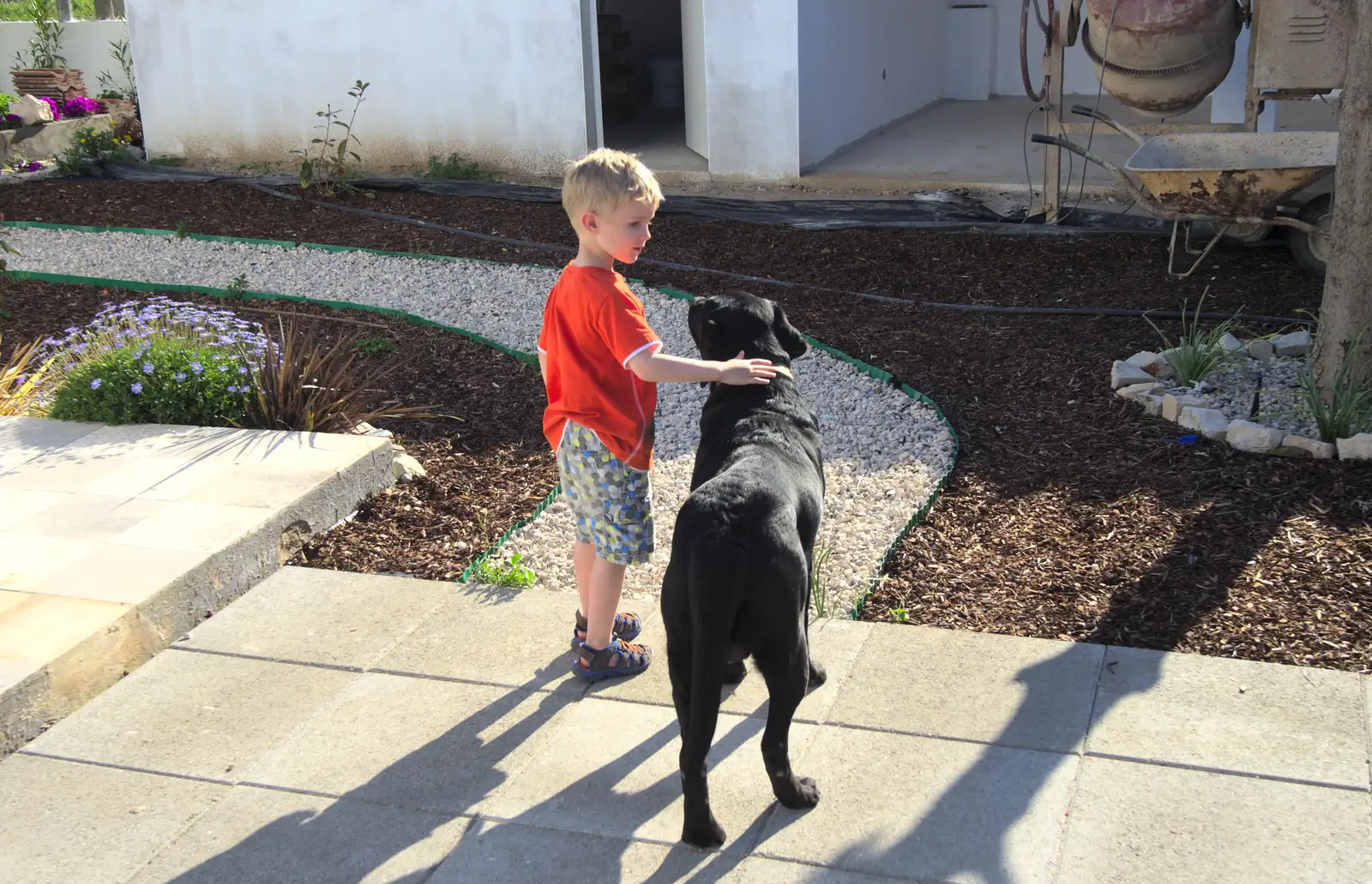 Harry says hello to the dog, from Gary and Vanessa's Barbeque, Alcantarilha, Algarve, Portugal - 7th April 2016