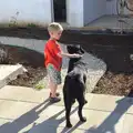 Harry says hello to the dog, Gary and Vanessa's Barbeque, Alcantarilha, Algarve, Portugal - 7th April 2016