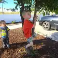 Harry climbs a tree, Gary and Vanessa's Barbeque, Alcantarilha, Algarve, Portugal - 7th April 2016