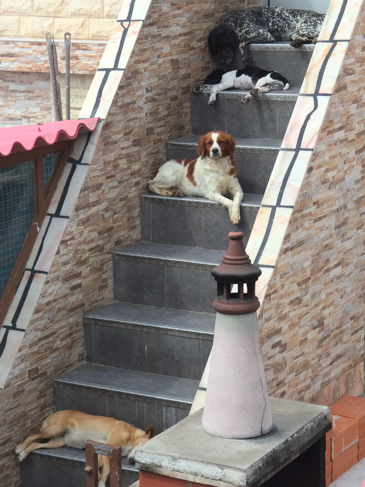 A pile of dogs on a staircase, from Last Days and the Journey Home, Albufeira, Portugal - 9th April 2016