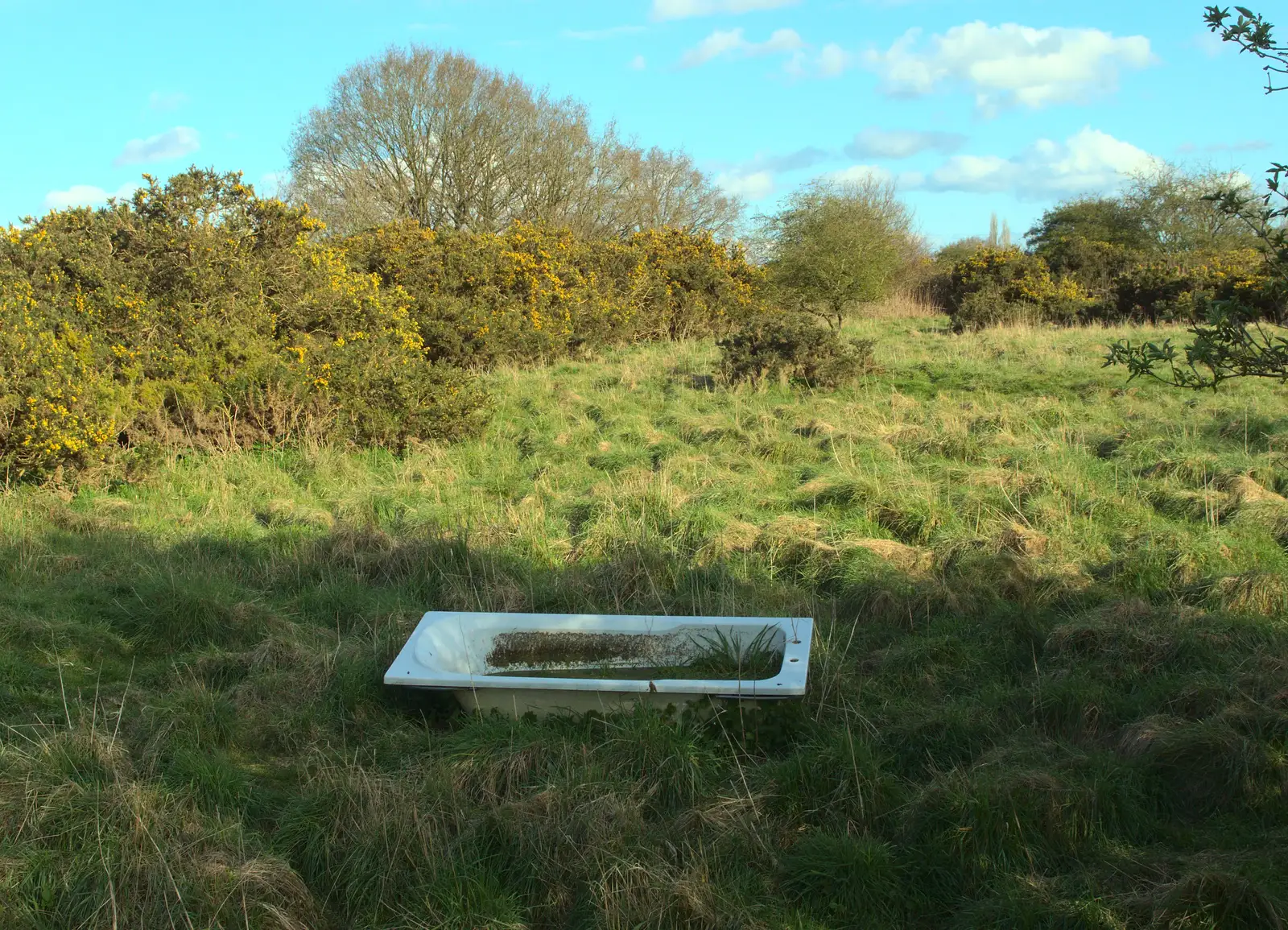 There's a random bath on Stuston Common, from The East Anglian Beer Festival, Bury St Edmunds, Suffolk - 23rd April 2016