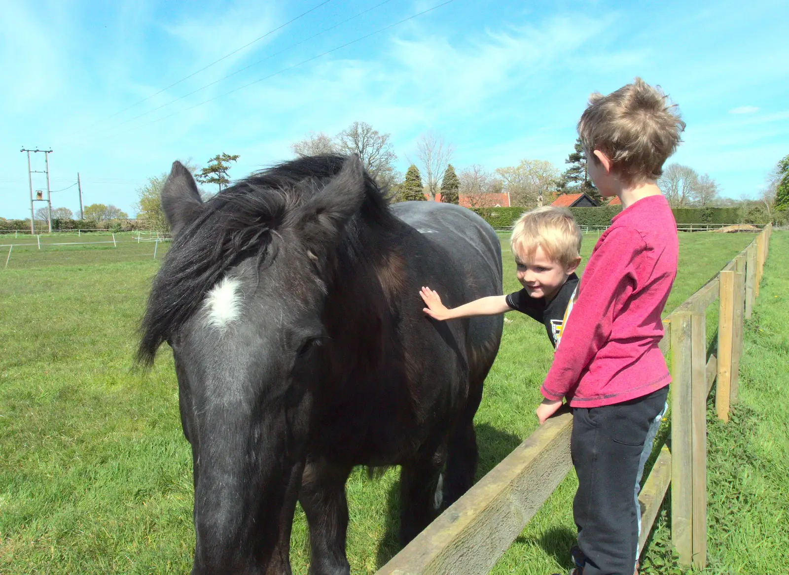 Harry gives Chinner a pat on the flanks, from The BSCC at the Hoxne Swan, and Mint Street Hula, Suffolk and London - 4th May 2016