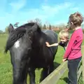 Harry gives Chinner a pat on the flanks, The BSCC at the Hoxne Swan, and Mint Street Hula, Suffolk and London - 4th May 2016