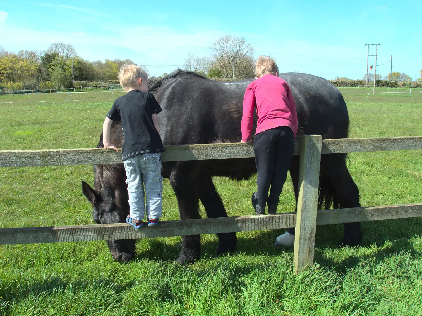 The boys chat to Chinner the horse, from The BSCC at the Hoxne Swan, and Mint Street Hula, Suffolk and London - 4th May 2016