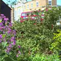 City-park flowers, The BSCC at the Hoxne Swan, and Mint Street Hula, Suffolk and London - 4th May 2016