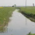 A couple of swans float up the drain, The BSCC Cycling Weekender, Outwell, West Norfolk - 7th May 2016