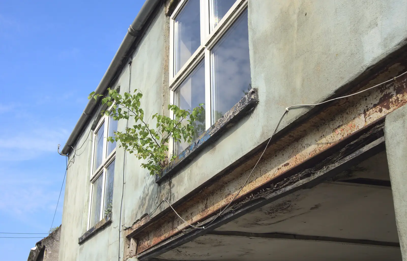 There's a tree growing out of a window frame, from The BSCC Cycling Weekender, Outwell, West Norfolk - 7th May 2016