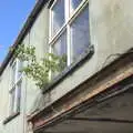 There's a tree growing out of a window frame, The BSCC Cycling Weekender, Outwell, West Norfolk - 7th May 2016