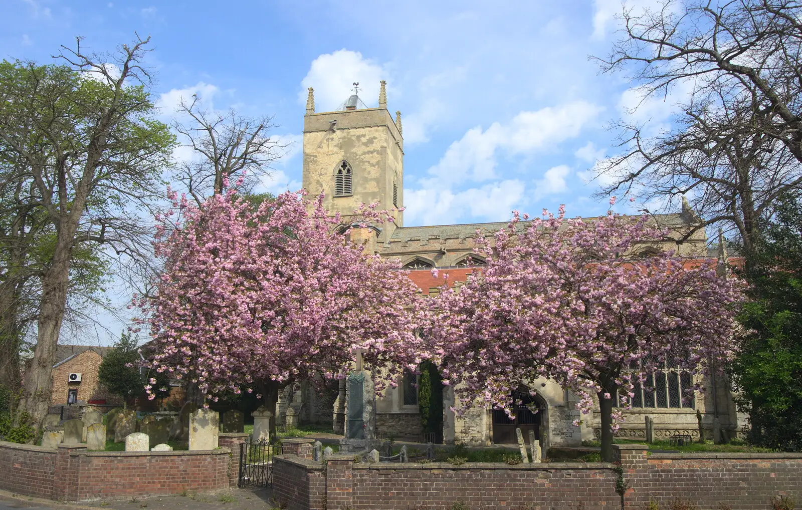 Cherry blossom in the churchyard, from The BSCC Cycling Weekender, Outwell, West Norfolk - 7th May 2016