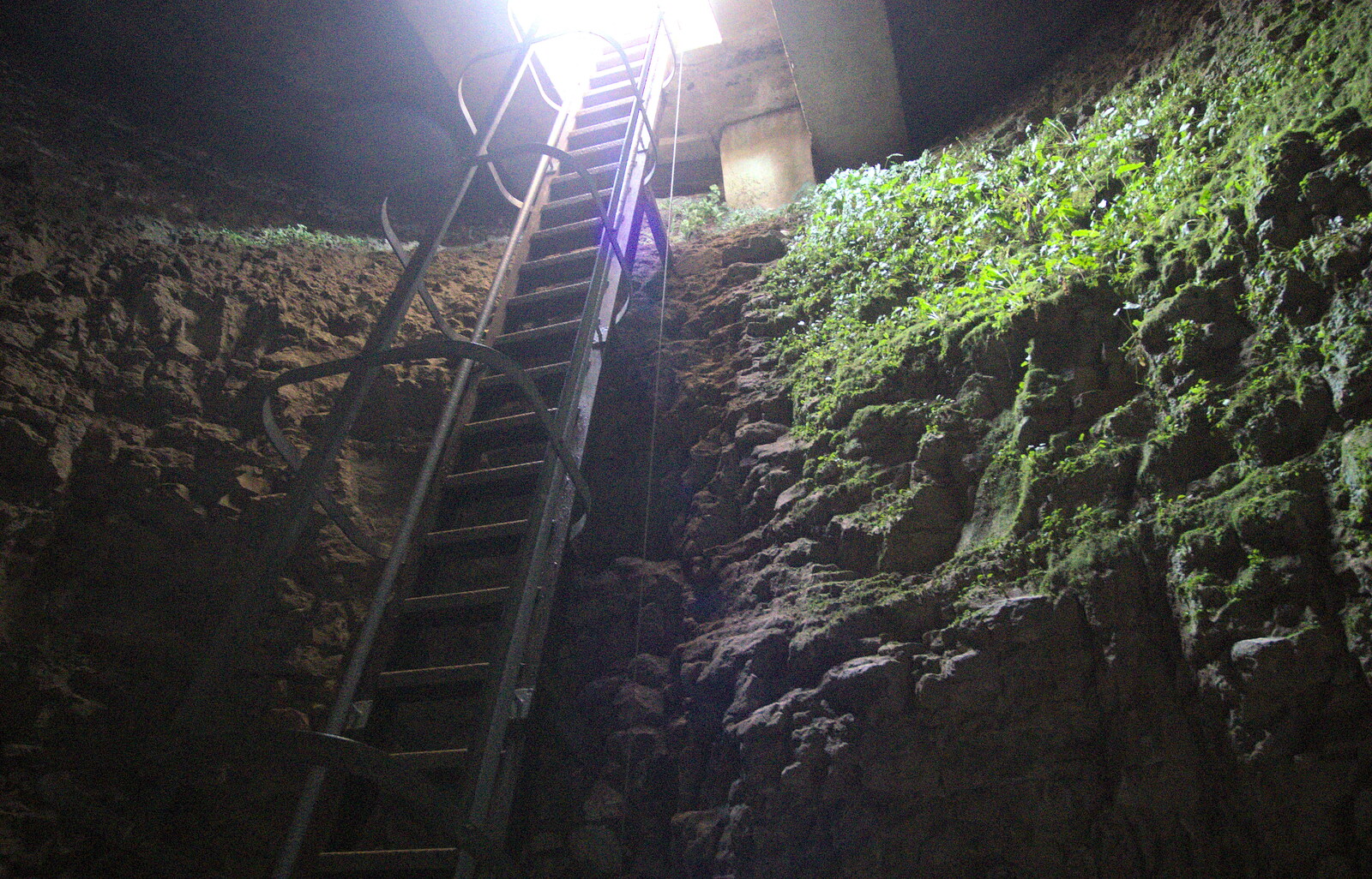 The ladder down in to the neolithic flint mine from A Trip to Grime's Graves, Thetford, Norfolk - 8th May 2016