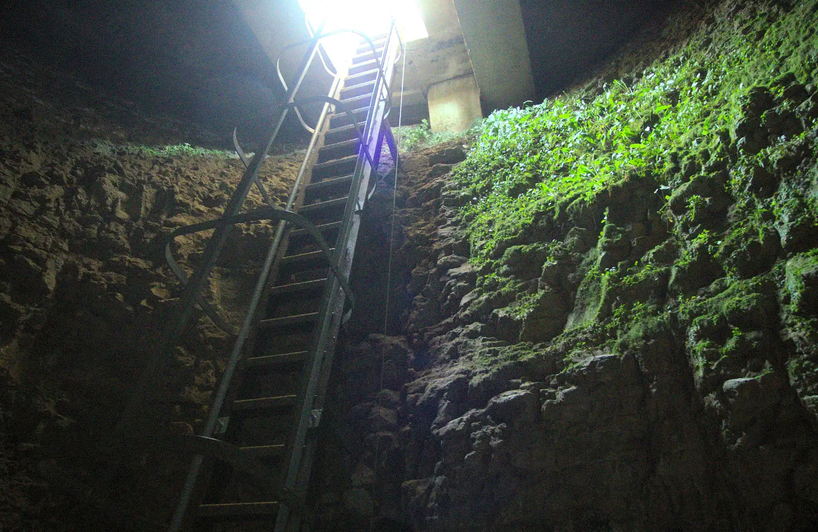 The ladder down in to the neolithic flint mine, from A Trip to Grime's Graves, Thetford, Norfolk - 8th May 2016