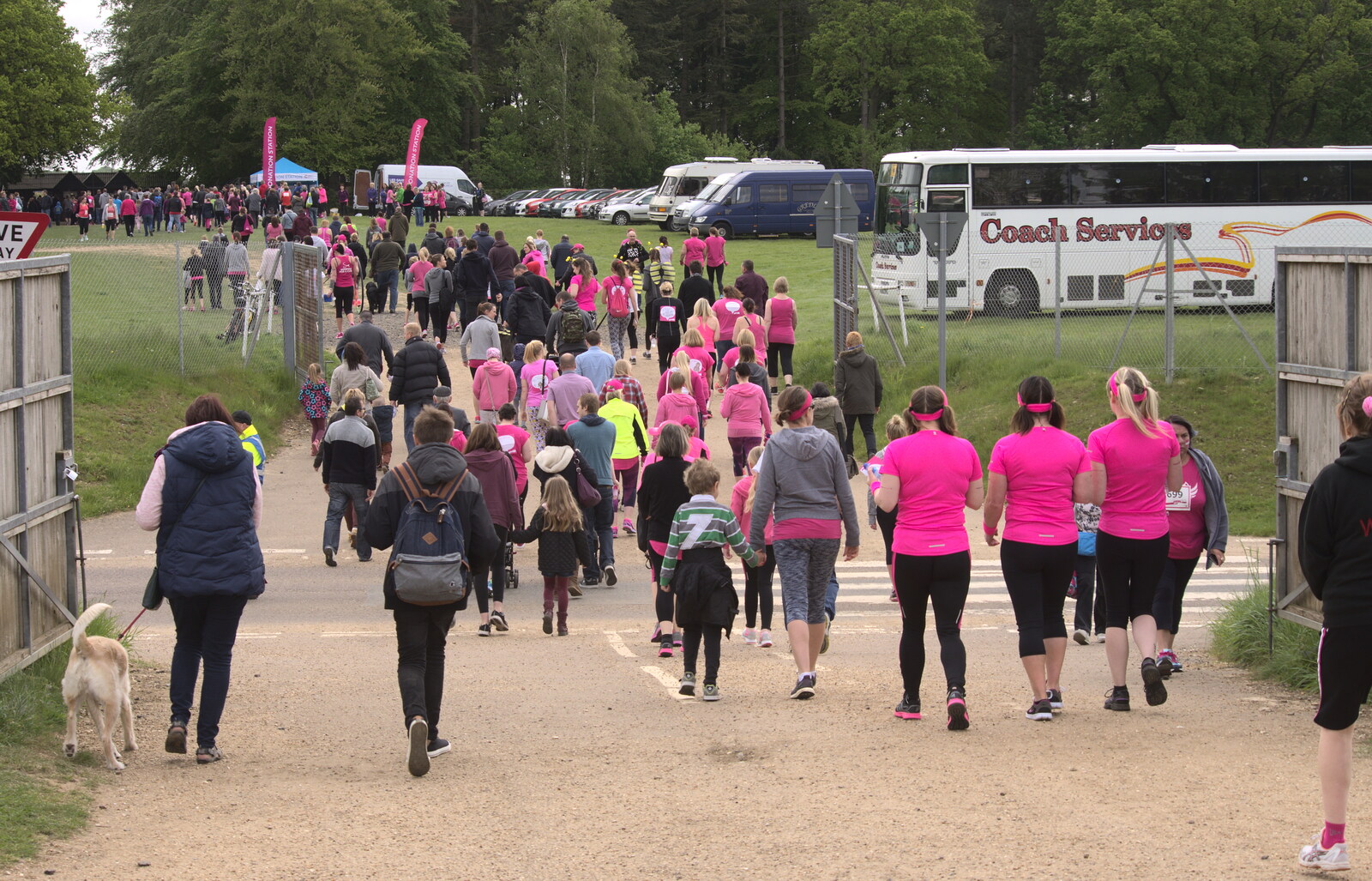 A stream of pink heads out from the car park from Isobel's Race for Life, Costessey, Norwich - 15th May 2016