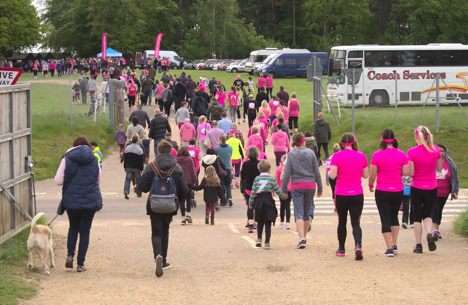 A stream of pink heads out from the car park, from Isobel's Race for Life, Costessey, Norwich - 15th May 2016