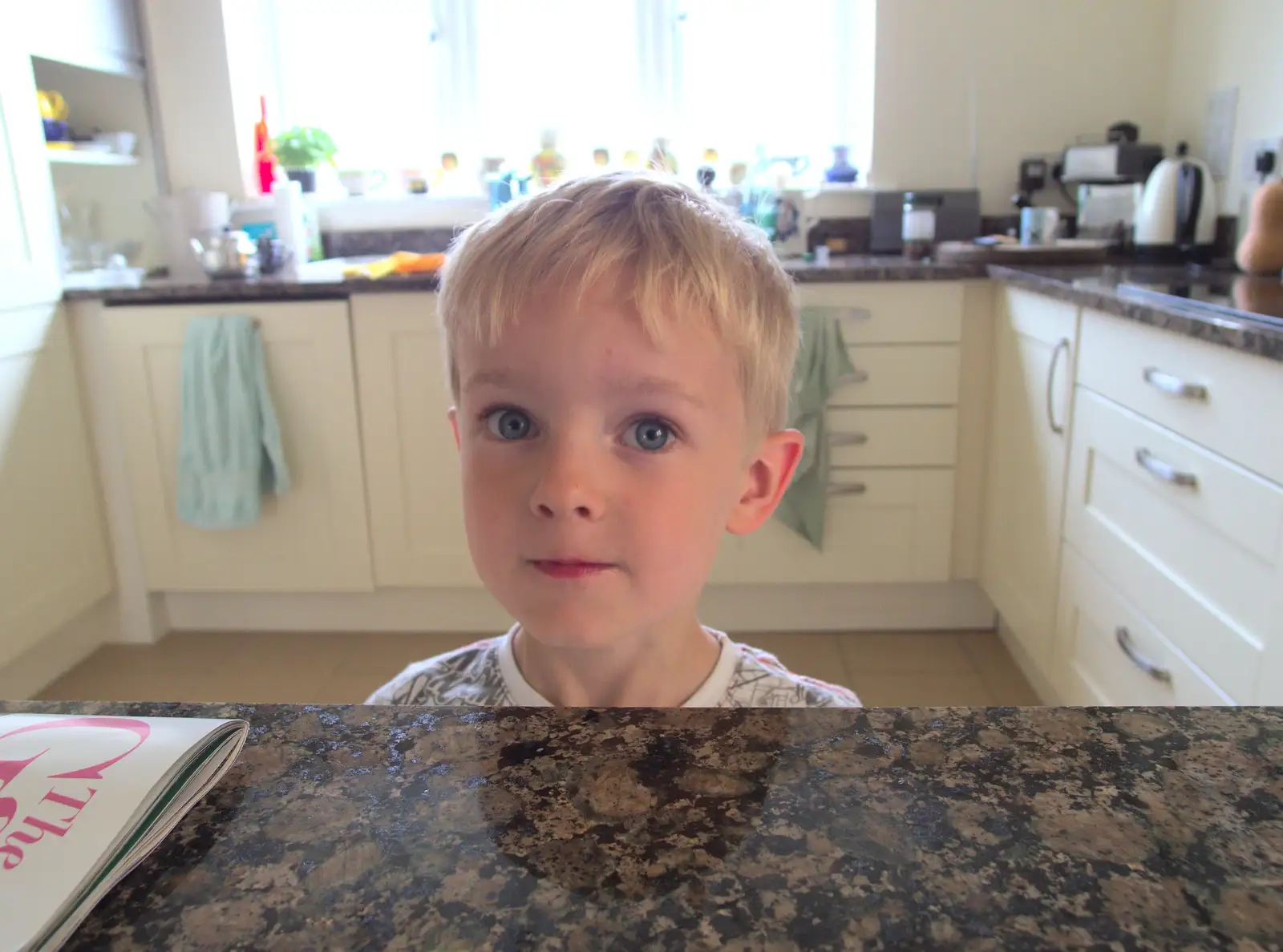 Harry peers over a kitchen worktop, from The Grand Re-opening of the Chagford Lido, Chagford, Devon - 28th May 2016