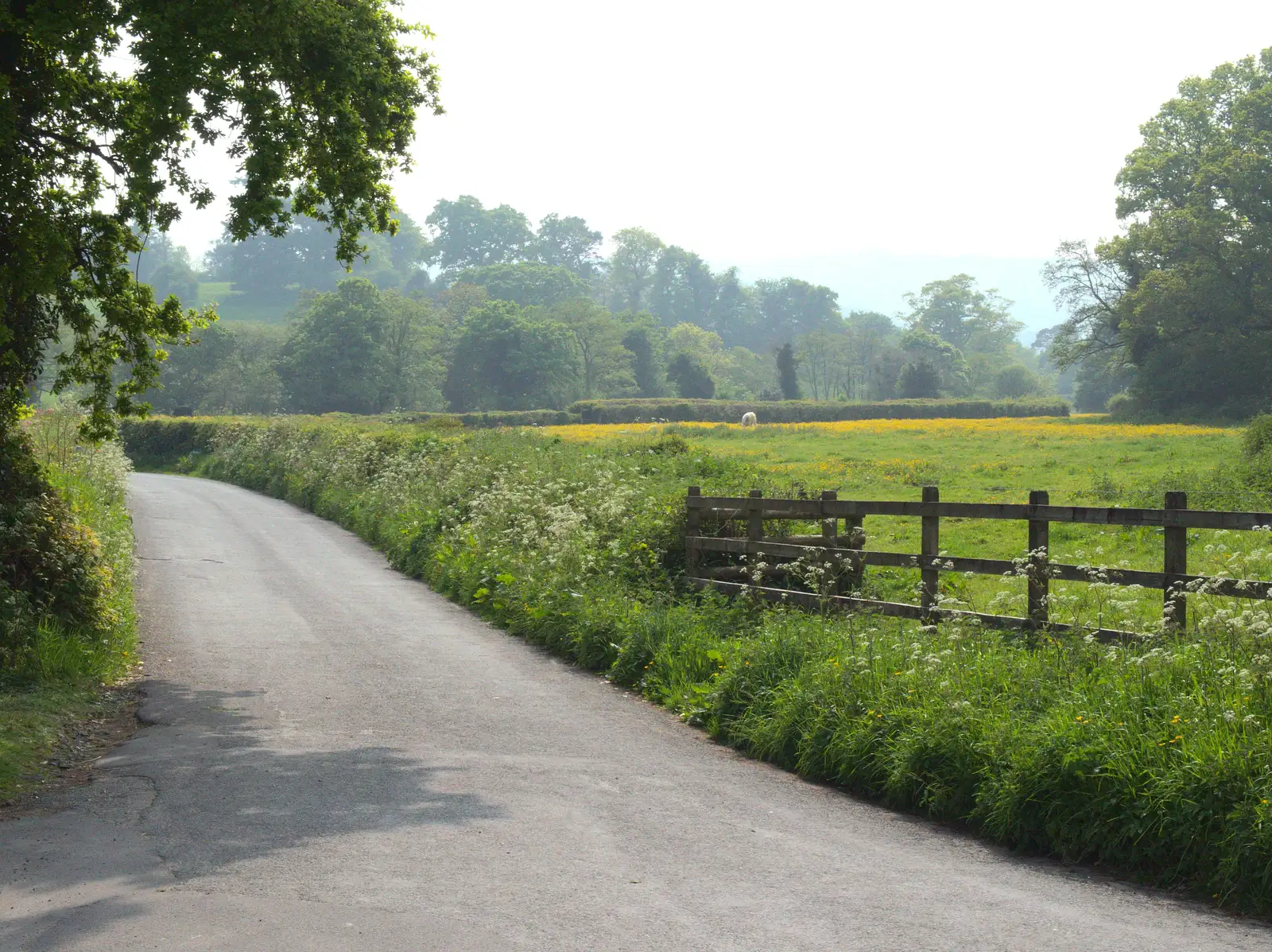 The lane to Chagford, from The Grand Re-opening of the Chagford Lido, Chagford, Devon - 28th May 2016