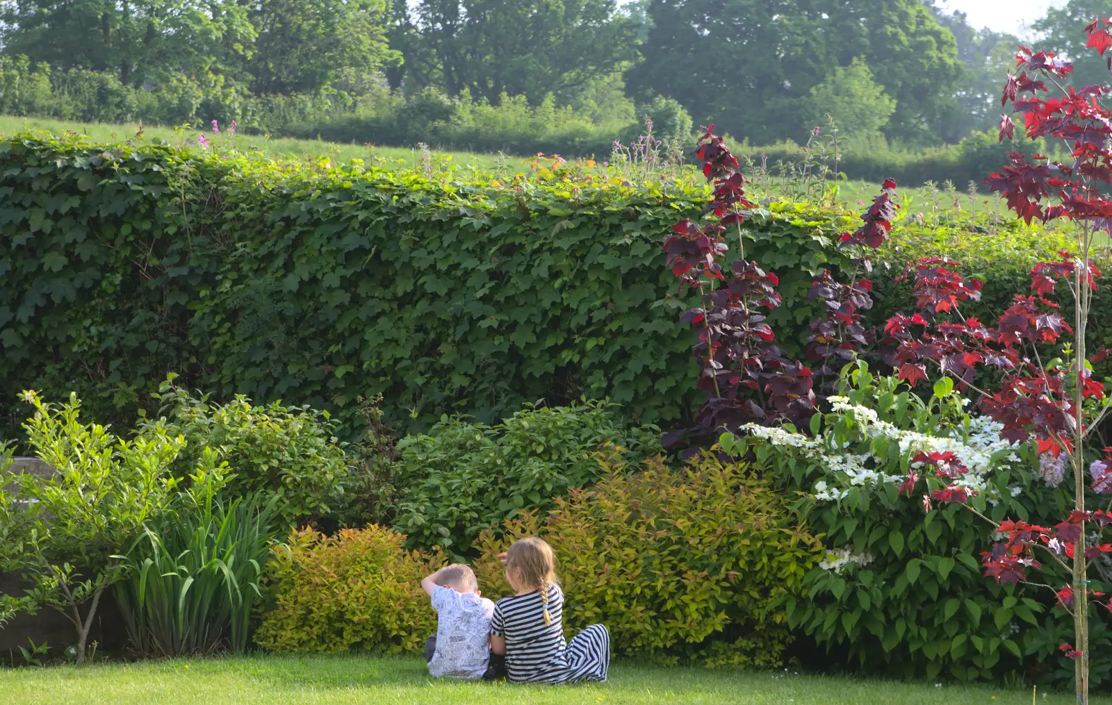 Harry and cousin sit by the hedge, from A Visit to Okehampton Castle and Dartmoor, Devon  - 28th May 2016