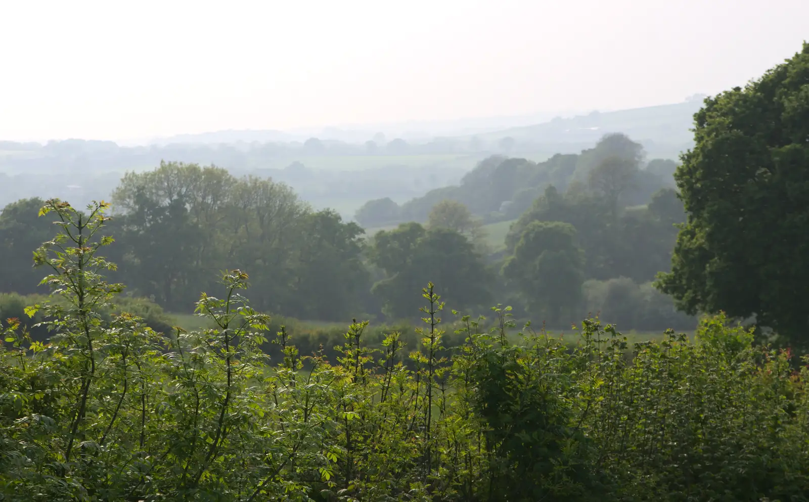 A Devon view from the garden, from A Visit to Okehampton Castle and Dartmoor, Devon  - 28th May 2016