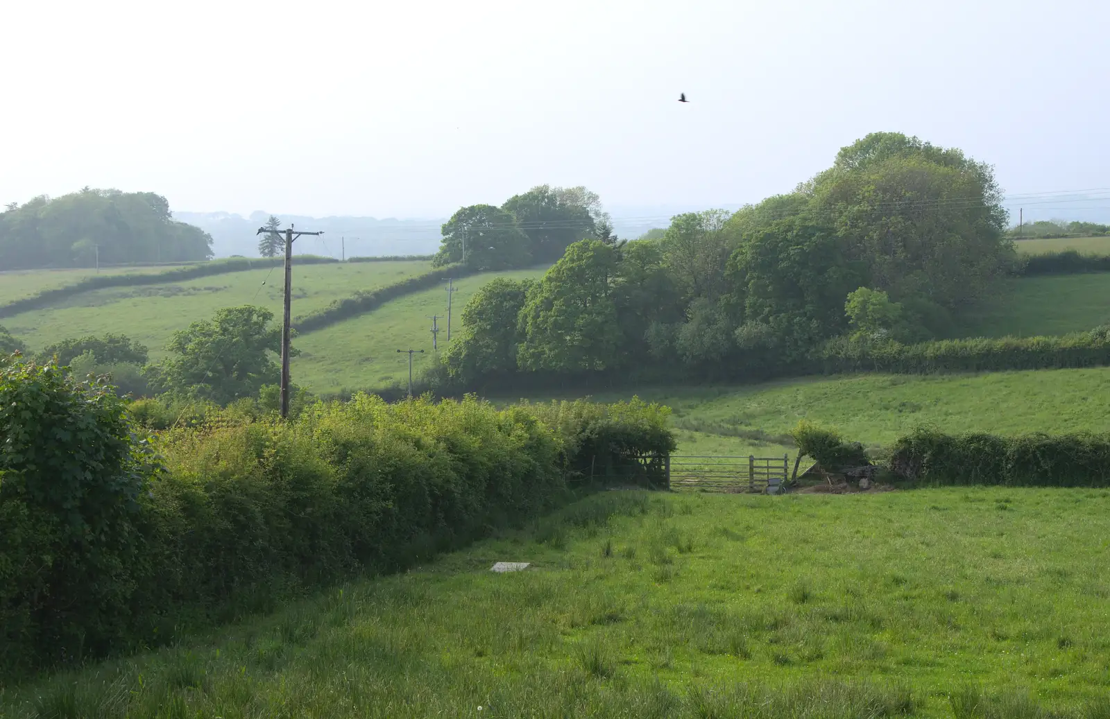 The field next to Mother's house, from A Visit to Okehampton Castle and Dartmoor, Devon  - 28th May 2016