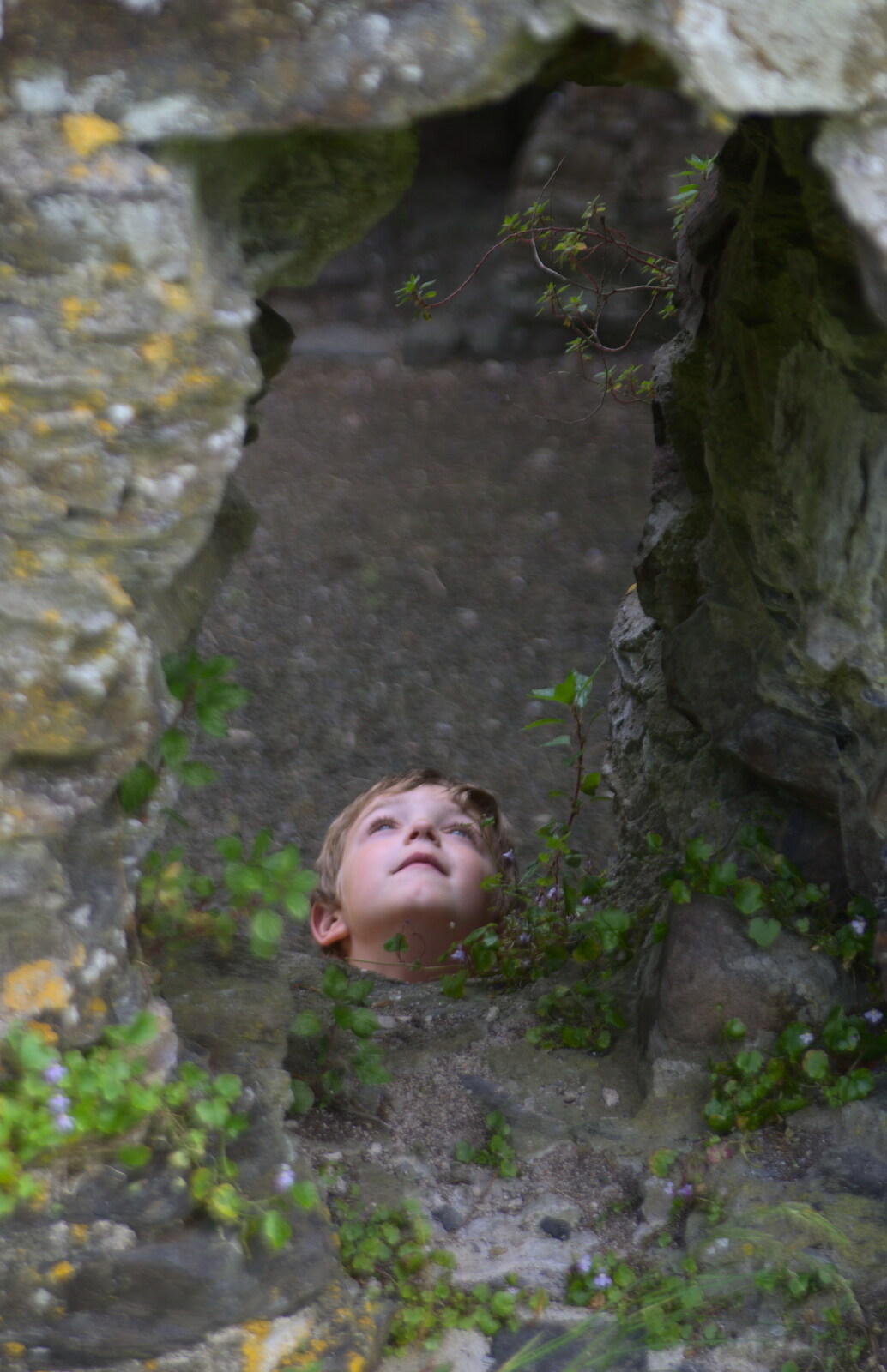 Fred looks up from A Visit to Okehampton Castle and Dartmoor, Devon  - 28th May 2016