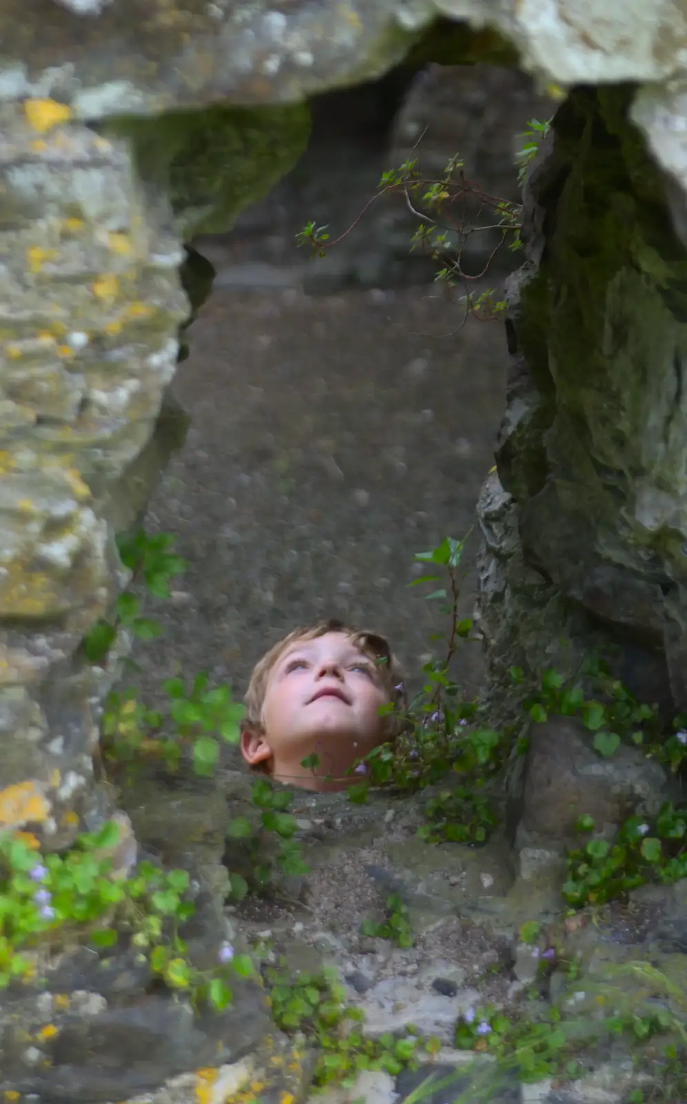 Fred looks up, from A Visit to Okehampton Castle and Dartmoor, Devon  - 28th May 2016