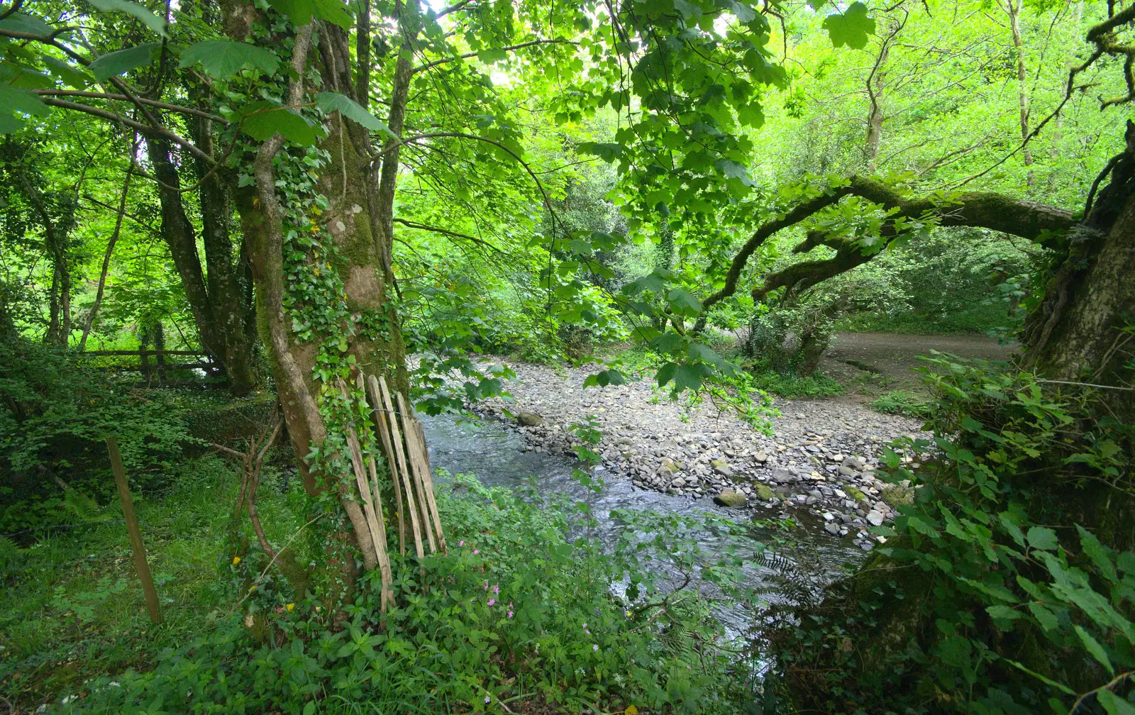 The nearby river, from A Visit to Okehampton Castle and Dartmoor, Devon  - 28th May 2016