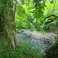 The nearby river, A Visit to Okehampton Castle and Dartmoor, Devon  - 28th May 2016