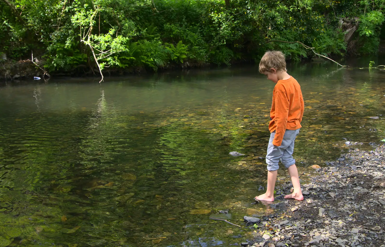 Fred cautiously dips a foot into the river, from A Visit to Okehampton Castle and Dartmoor, Devon  - 28th May 2016