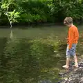 Fred cautiously dips a foot into the river, A Visit to Okehampton Castle and Dartmoor, Devon  - 28th May 2016