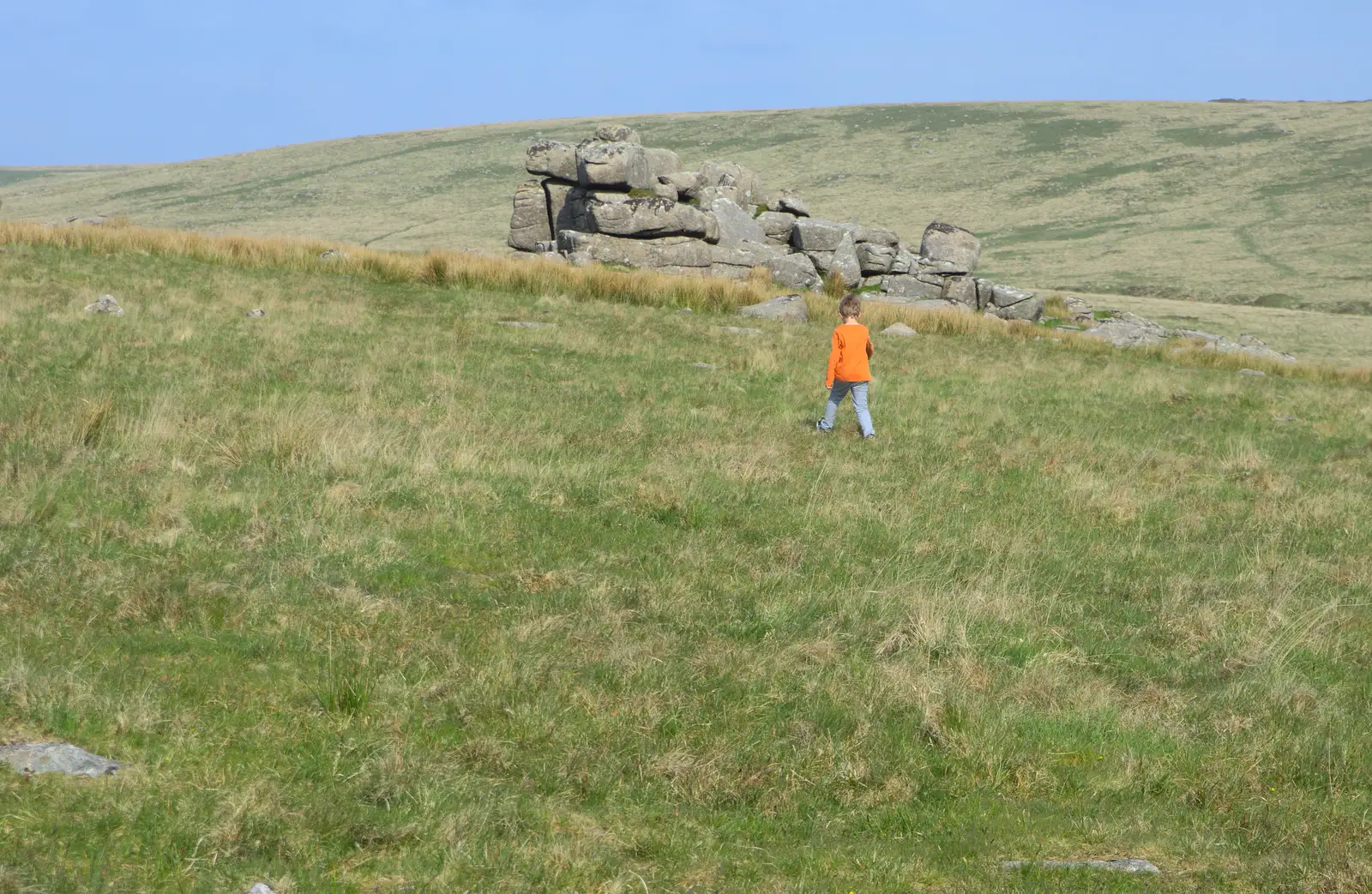 Fred wanders off, from A Visit to Okehampton Castle and Dartmoor, Devon  - 28th May 2016