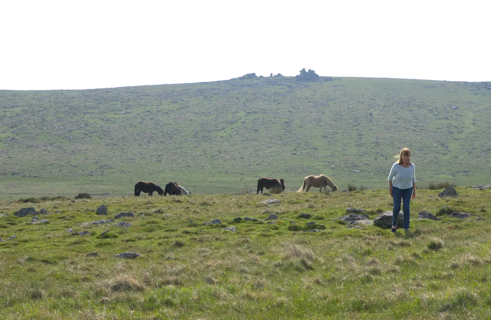 Mother roams around, from A Visit to Okehampton Castle and Dartmoor, Devon  - 28th May 2016