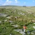 The boys are dots in the landscape, A Visit to Okehampton Castle and Dartmoor, Devon  - 28th May 2016