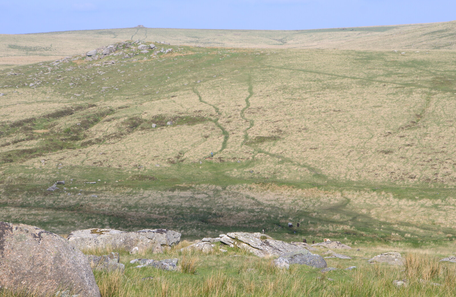 Animal trails stand out nicely on the hillside from A Visit to Okehampton Castle and Dartmoor, Devon  - 28th May 2016