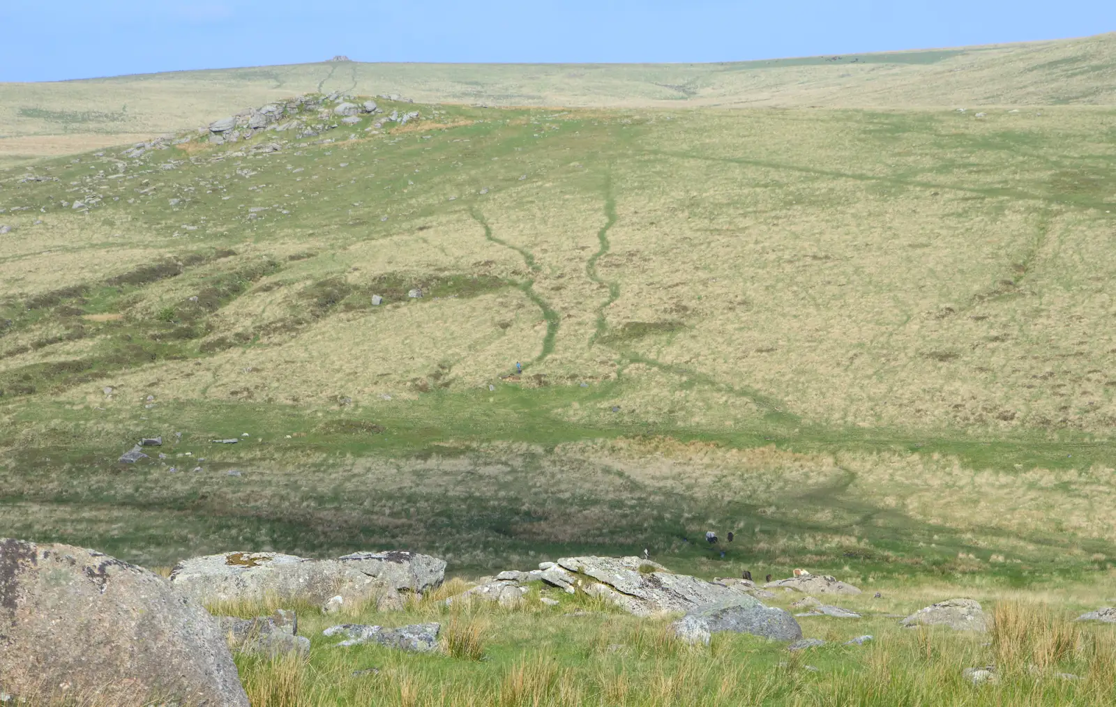 Animal trails stand out nicely on the hillside, from A Visit to Okehampton Castle and Dartmoor, Devon  - 28th May 2016