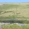 Animal trails stand out nicely on the hillside, A Visit to Okehampton Castle and Dartmoor, Devon  - 28th May 2016