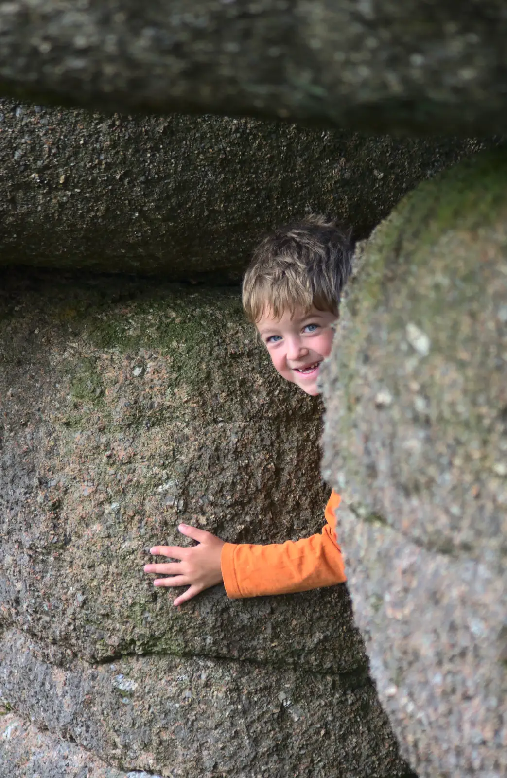 A gap-toothed Fred hides in the rocks, from A Visit to Okehampton Castle and Dartmoor, Devon  - 28th May 2016