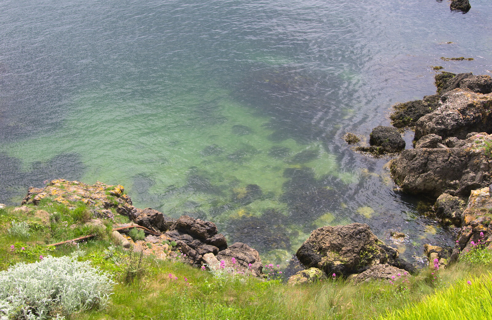The almost-tropical waters of the Sound from A Tamar River Trip, Plymouth, Devon - 30th May 2016