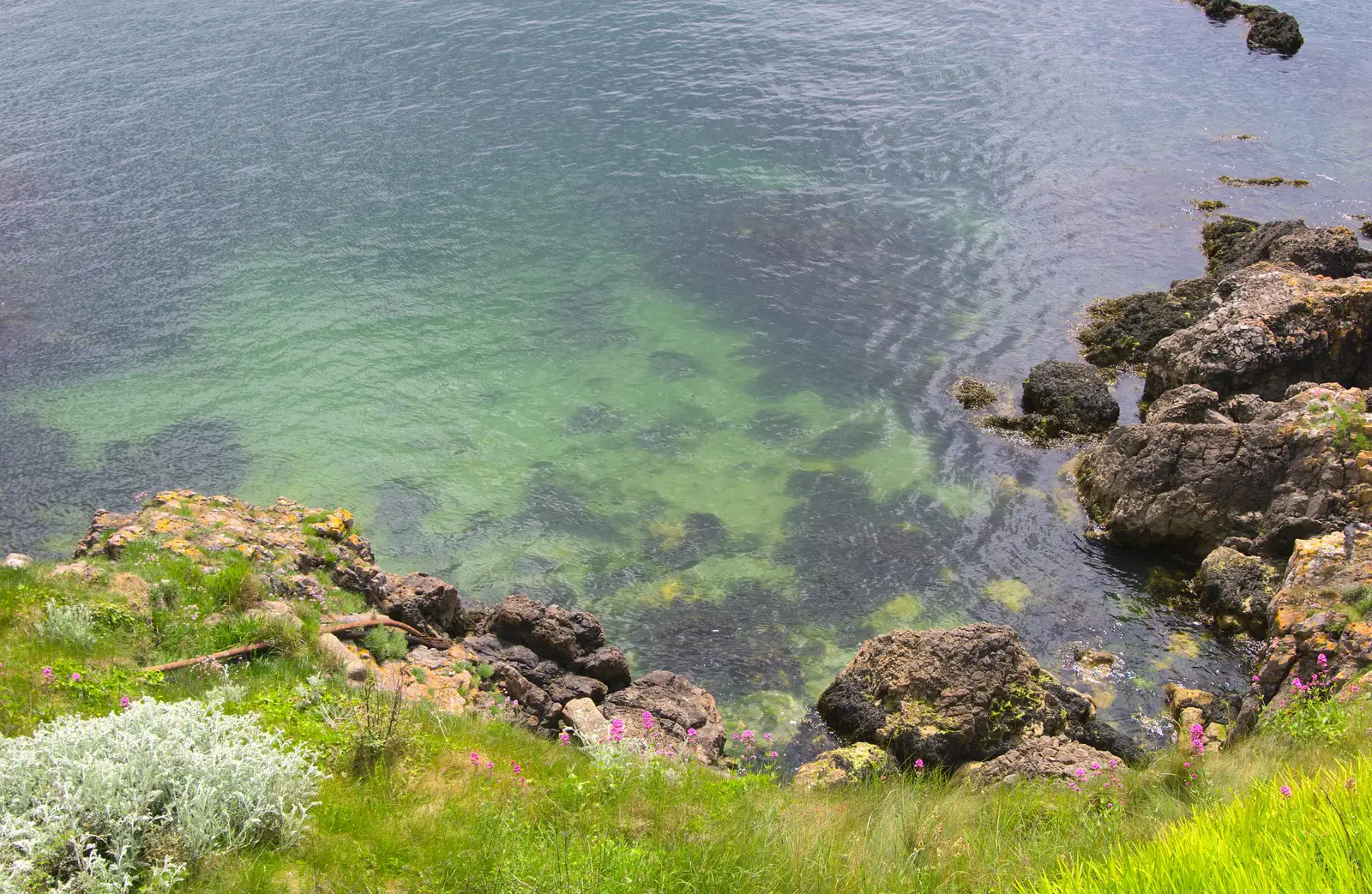 The almost-tropical waters of the Sound, from A Tamar River Trip, Plymouth, Devon - 30th May 2016